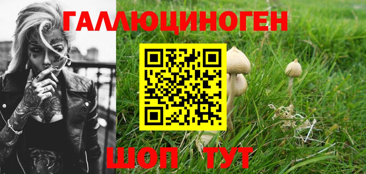 цена наркотик  Псилоцибиновые грибы GOLDEN TEACHER  Вход с VPN  Дмитров 